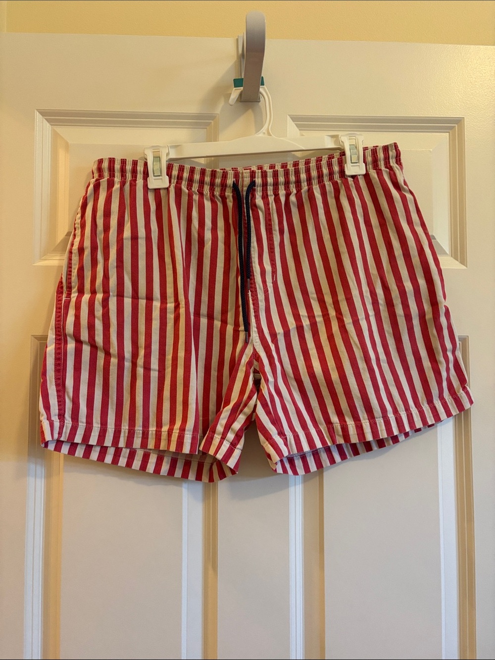 Chubbies American Shorts
